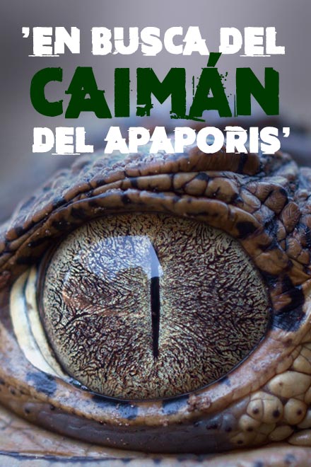 Póster En busca del caimán del Apaporis