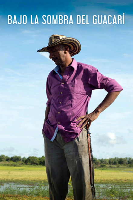 Póster Bajo la sombra del Guacarí, cortometraje colombiano completo, en RTVCPlay