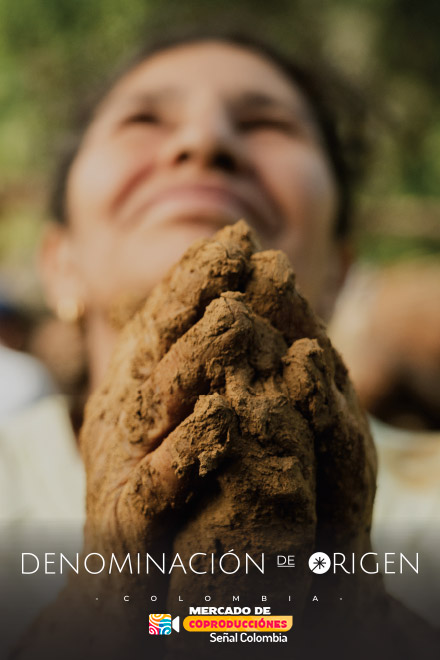 Póster Denominación de origen, serie documental disponible ahora en RTVCPlay