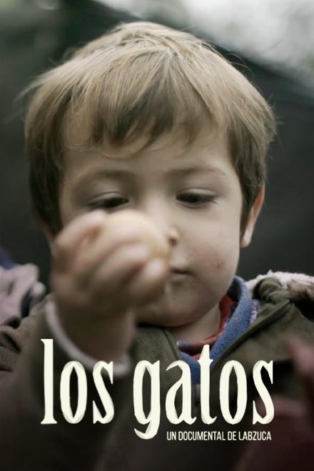 Niño pequeño, documental los gatos, peliculas cobre la niñez,  documentales gratis, documentales de Señal Colombia, peliculas colombianas online, peliculas colombianas gratis