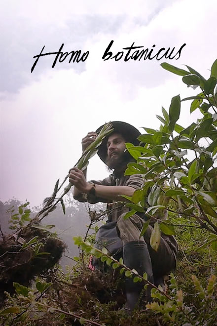 Póster de Homo Botanicus, documental colombiano