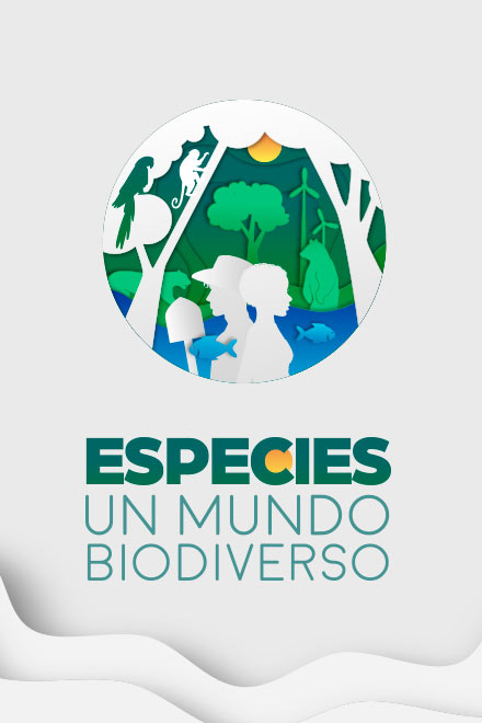 Especies, un mundo biodiverso, pódcast de la Radio Nacional de Colombia, disponible ahora en la plataforma de streaming RTVCPlay