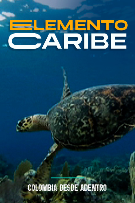 Colombia desde adentro - Elemento Caribe, serie documental