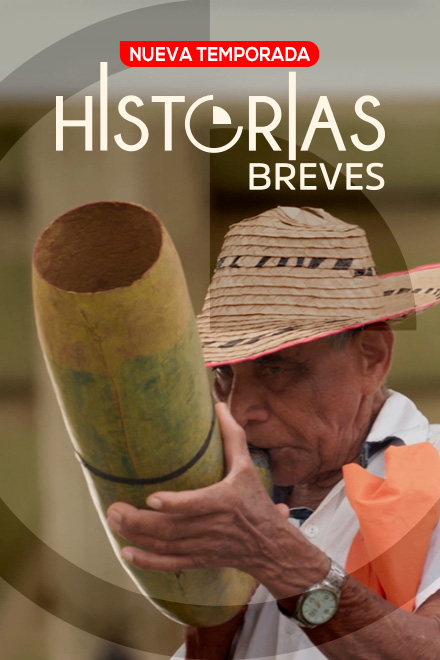 Póster oficial Historias breves RTVC