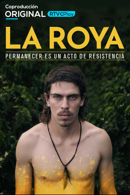 Póster oficial La roya, película de ficción colombiana 
