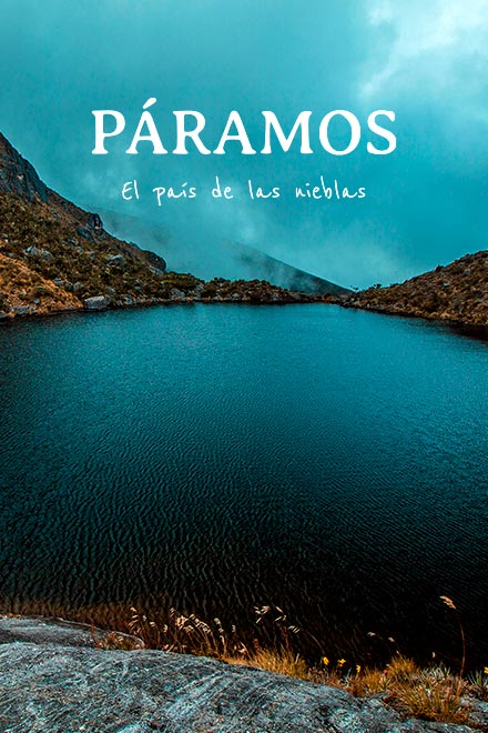 Mira ahora Páramos, el país de las nieblas en RTVCPlay