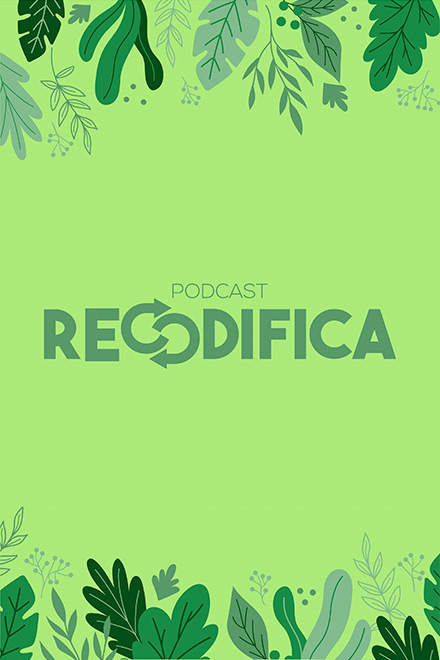 Entiende el impacto de la deforestación en Colombia escuchando Recodifica, un podcast de Radiónica