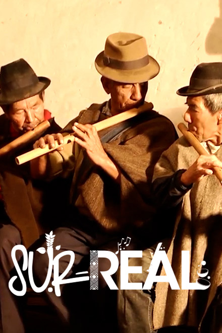 Póster Sur real, serie colombiana completa en RTVCPlay