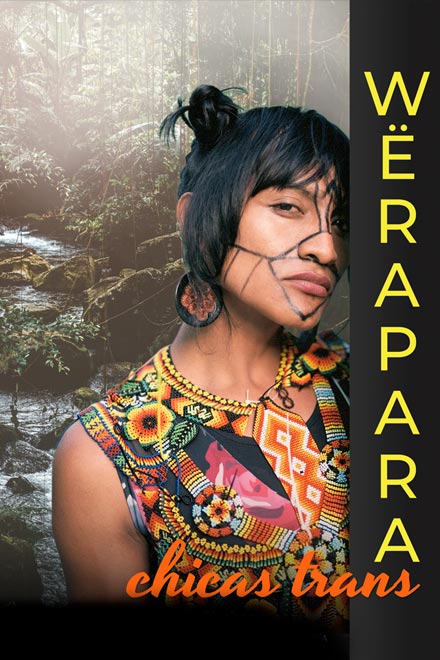 Póster Wërapara, documental colombiano completo en RTVCPlay