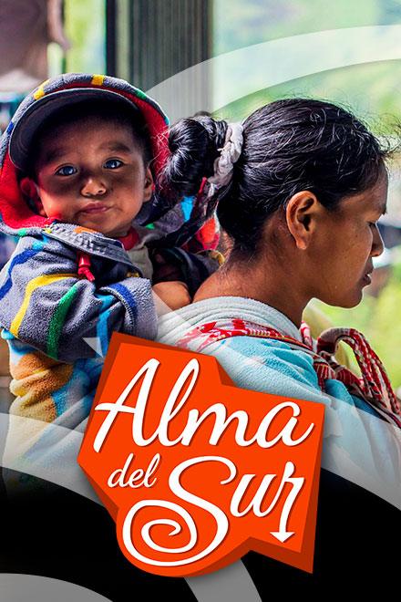 Póster de Alma del sur