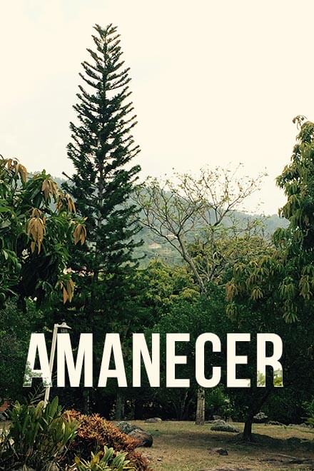 ¡Mira Amanecer, un viaje íntimo y revelador en busca de identidad y afectos perdidos por la plataforma de streaming RTVCPlay!
