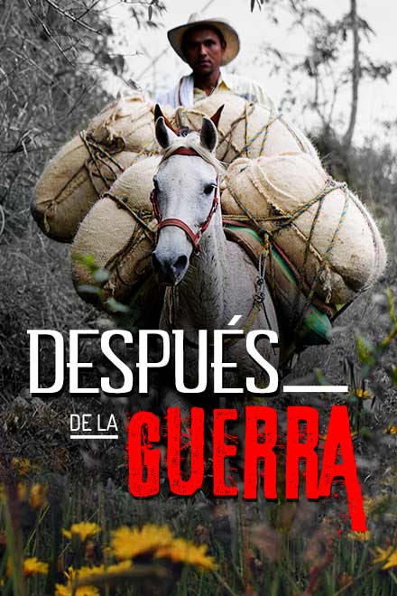 Póster de Después de la Guerra