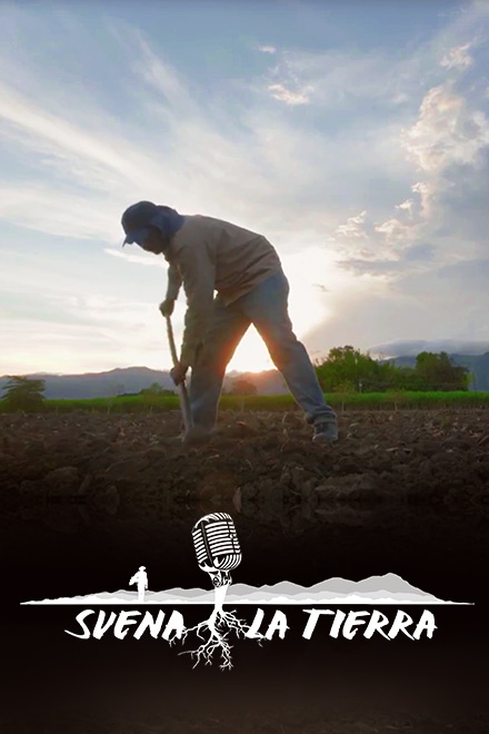 ¡Mira Suena la tierra por la plataforma de streaming RTVCPlay! 