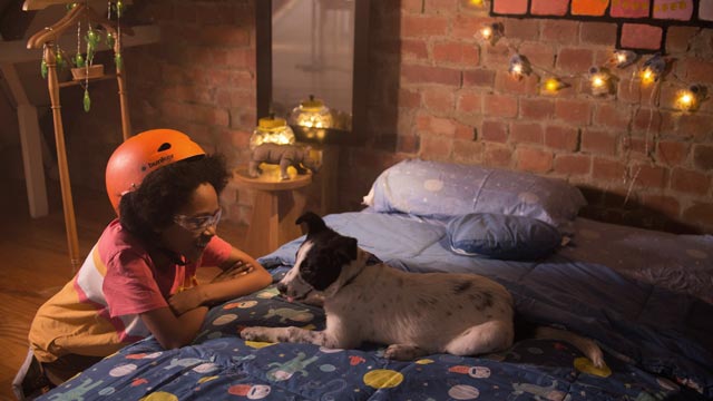 Acompaña a Alex en esta aventura de convertirse en un perro por la plataforma RTVCPlay.