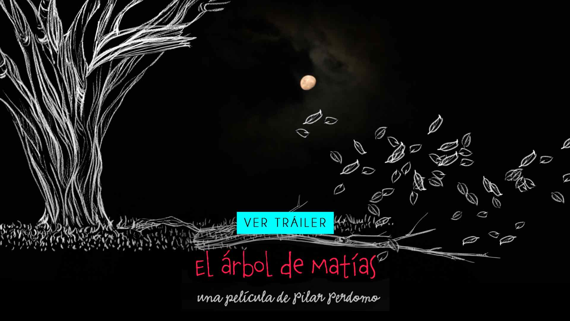 El árbol de Matías, documental colombiano disponible ahora en la plataforma de streaming de los colombianos: RTVCPlay