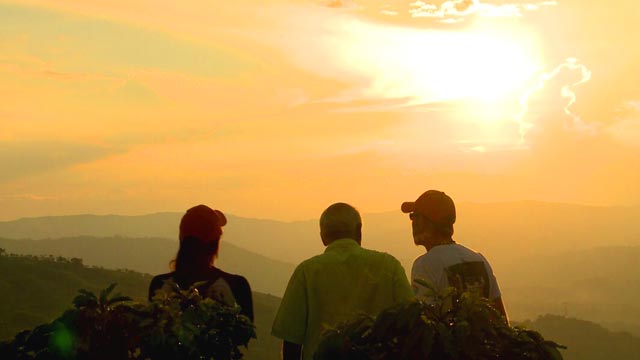 ¡Conoce el Eje Cafetero junto a la Expedición cóndor de Los Andes por RTVCPlay!