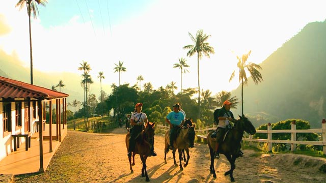 ¡Conoce el Valle del Cocora junto a la Expedición cóndor de Los Andes por RTVCPlay!