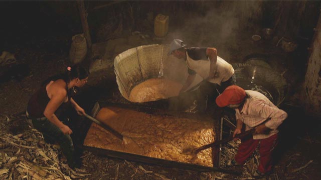 ¡Conoce la historia de Misael y Orosia en Ancestral por la plataforma de streaming RTVCPlay!