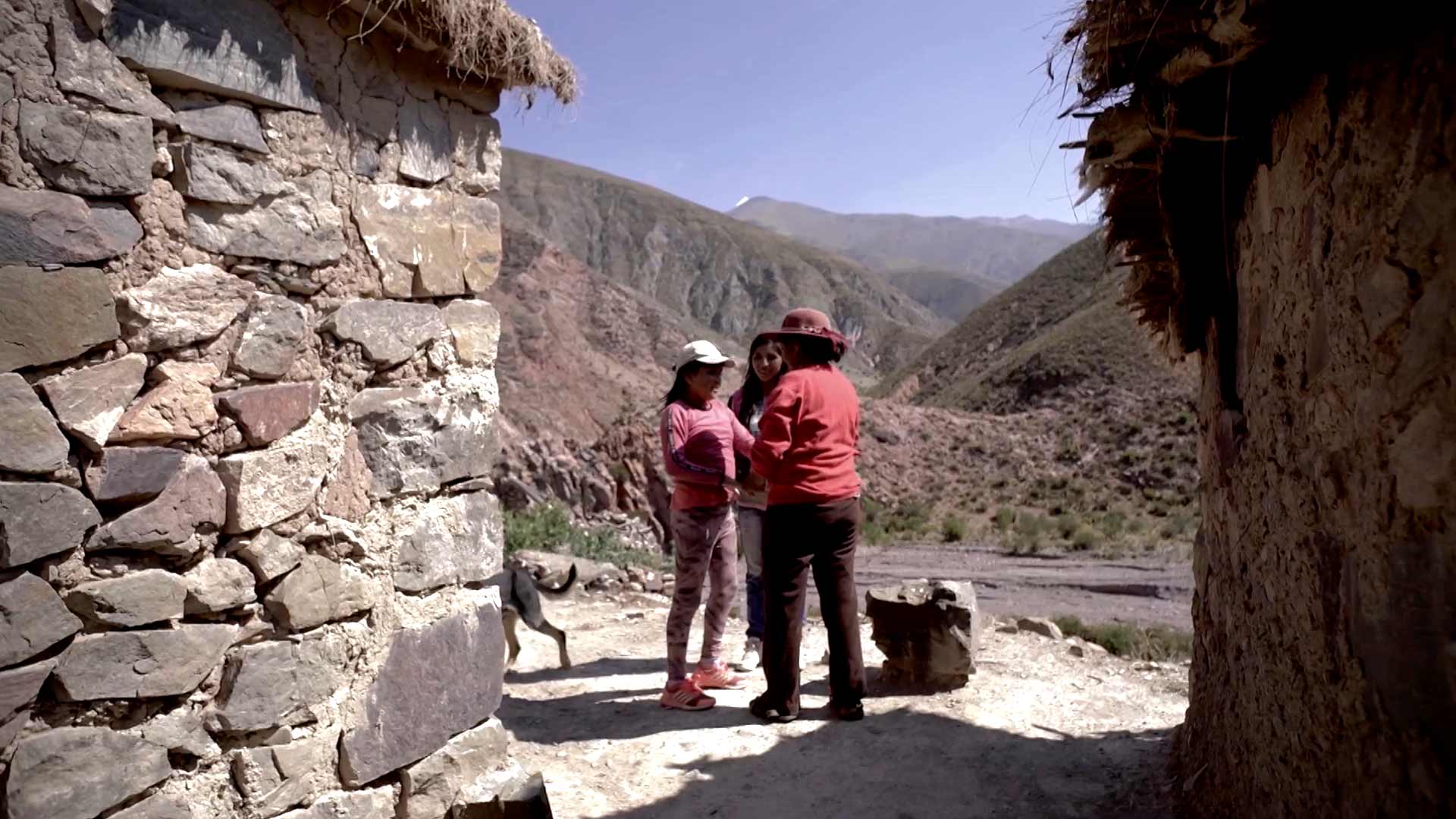 Abuelas: mira ahora el tercer capítulo de esta serie infantil en la plataforma de streaming RTVCPlay