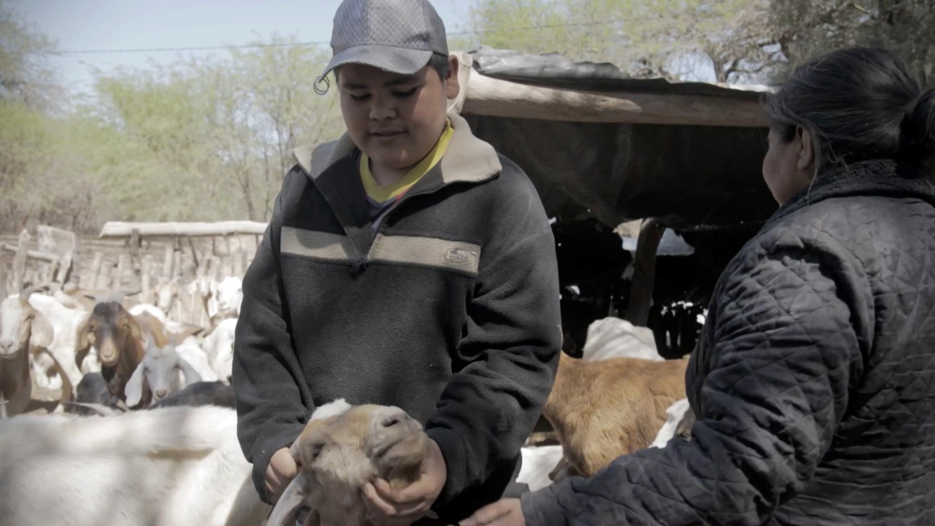 Abuelas: mira ahora el sexto capítulo de esta serie infantil en la plataforma de streaming RTVCPlay