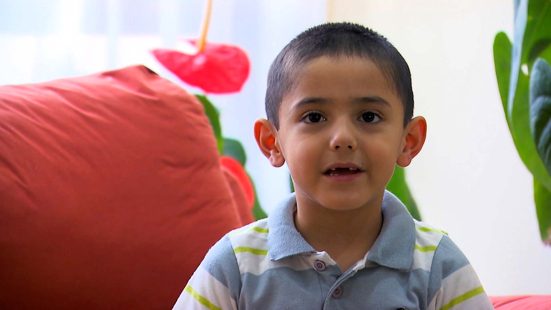 Mira ahora el onceavo capítulo de la serie infantil Abuelos en la plataforma de streaming RTVCPlay