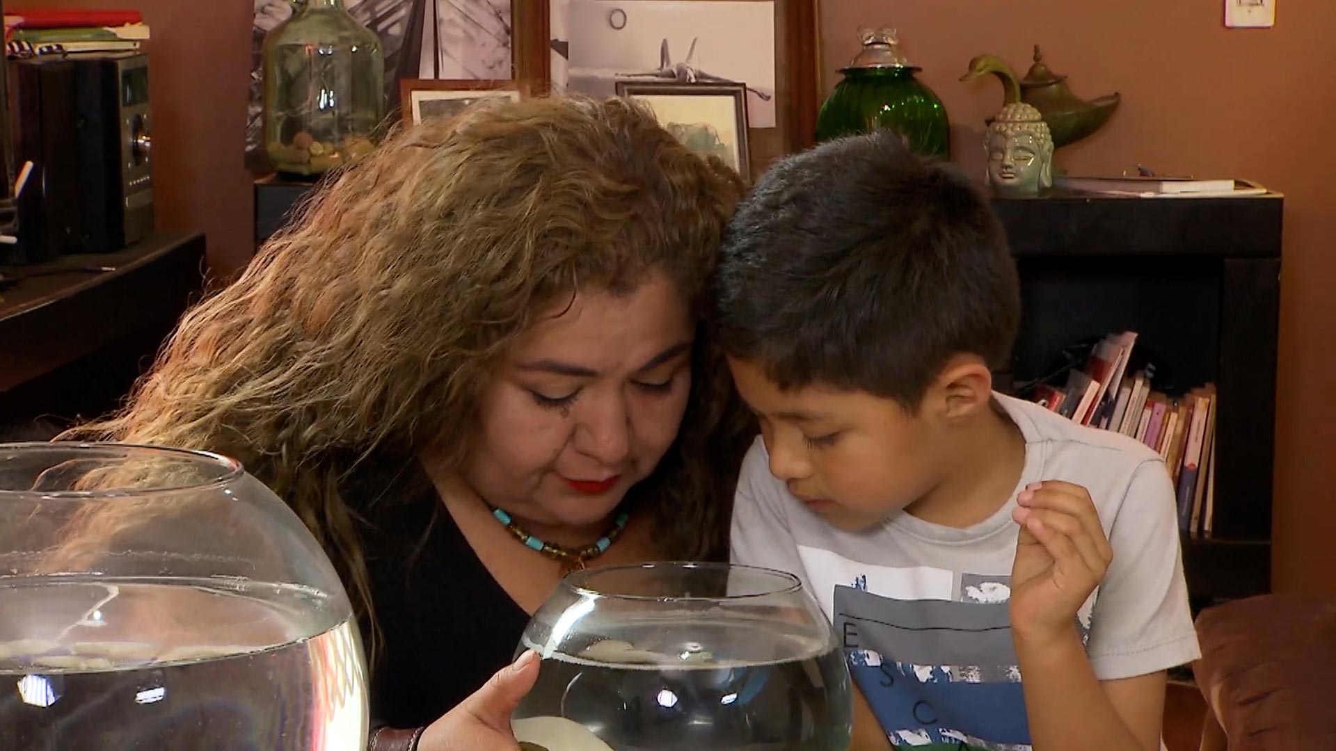 Mira ahora el segundo capítulo de la serie infantil Abuelos en la plataforma de streaming RTVCPlay