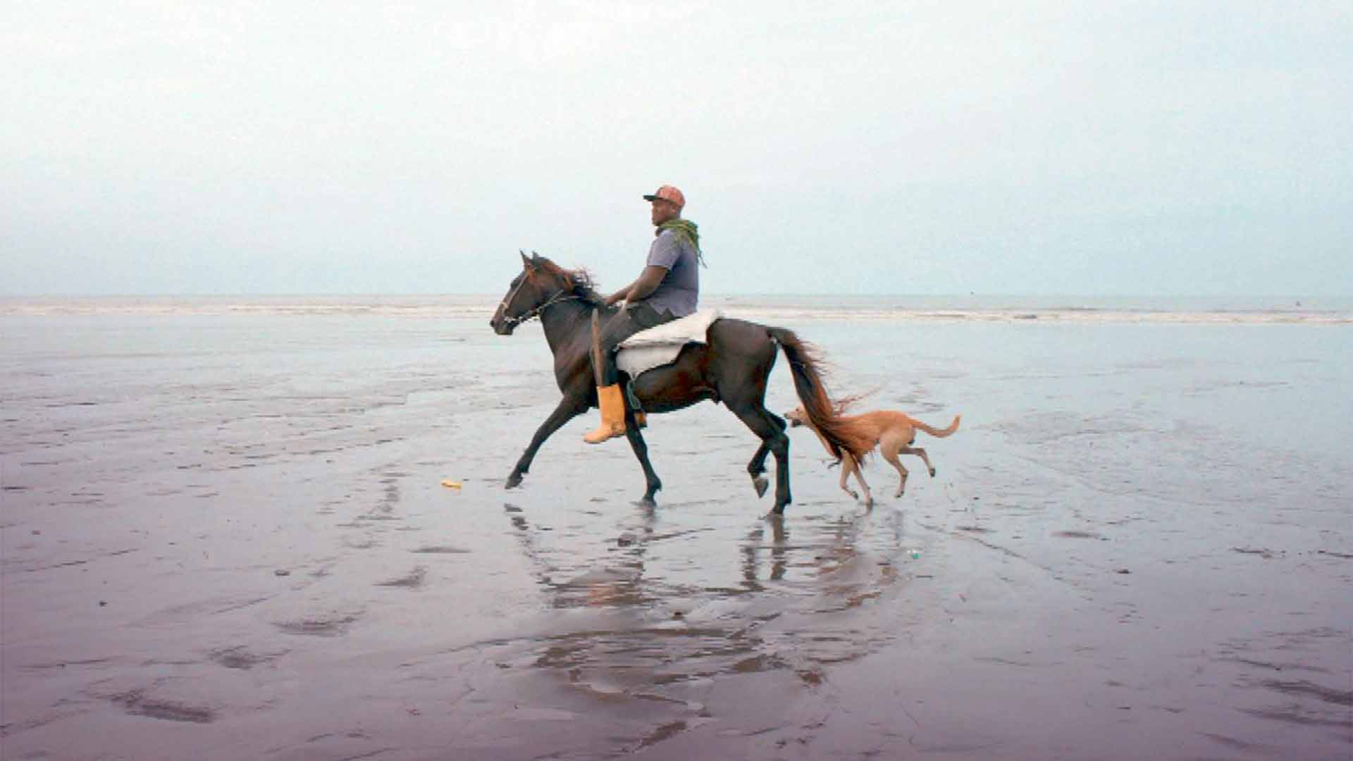 Hombre afro montando a caballo sobre la playa y con un perro corriendo a su lado - Aislados