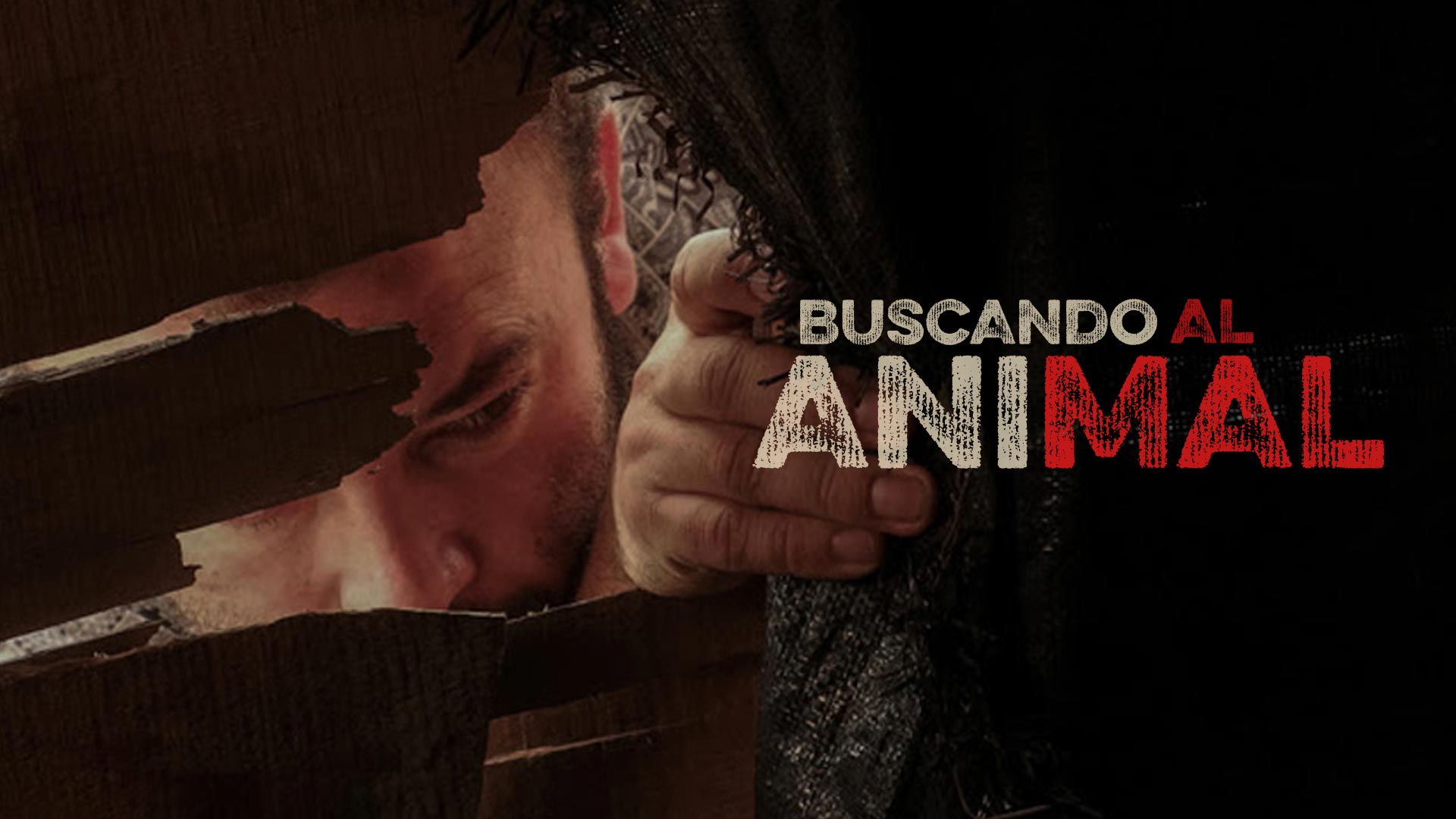 Póster oficial de Buscando el animal, disponible en RTVCPlay