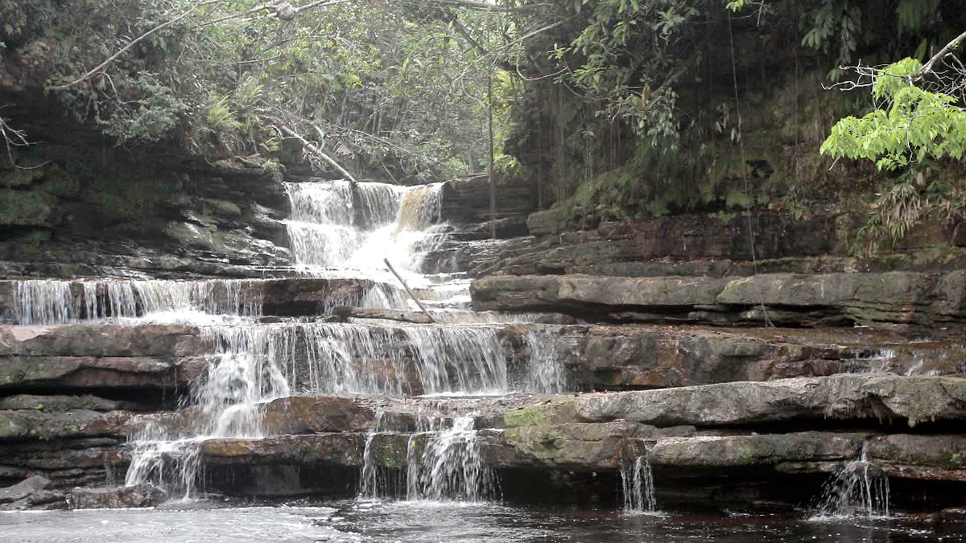 Mira ahora el capítulo “Los ríos vuelan” del especial multimedia Respira Amazonía en la plataforma de streaming de los colombianos: RTVCPlay