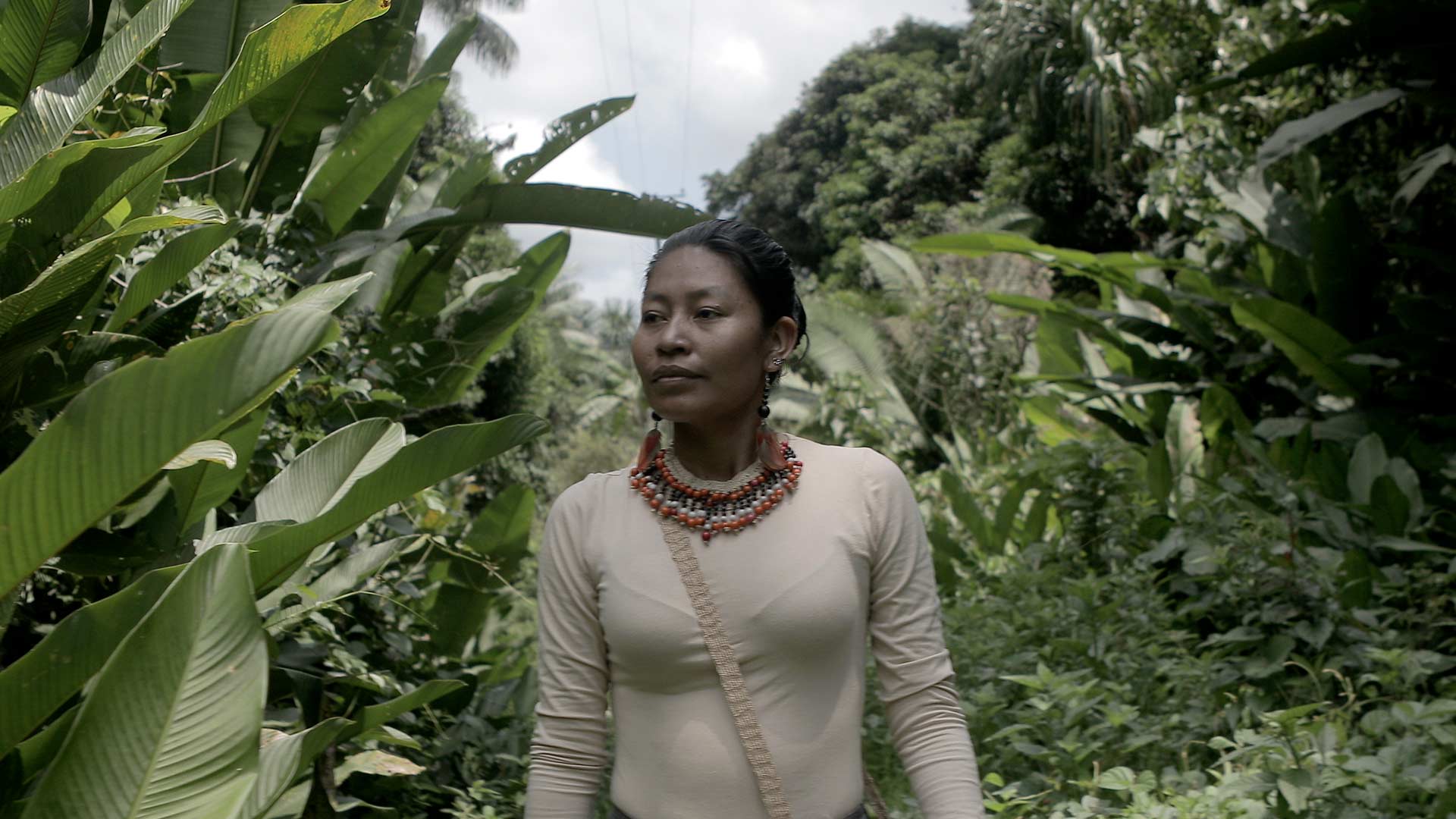 Mira ahora el capítulo “La Amazonía es mujer” del especial multimedia Respira Amazonía en la plataforma de streaming RTVCPlay