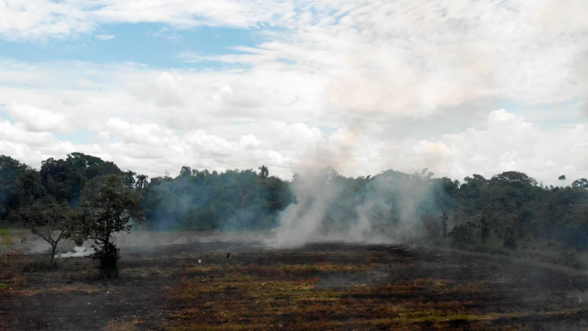 Mira ahora el capítulo “¿Cómo impactamos la Amazonía?” del especial multimedia Respira Amazonía en la plataforma de streaming RTVCPlay