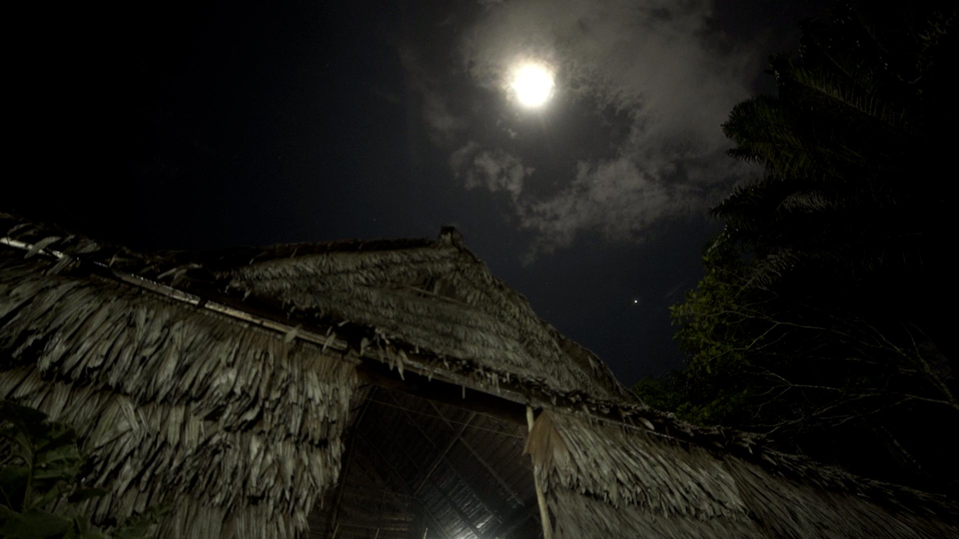 Mira ahora el capítulo “Maloka” del especial multimedia Respira Amazonía en la plataforma de streaming RTVCPlay