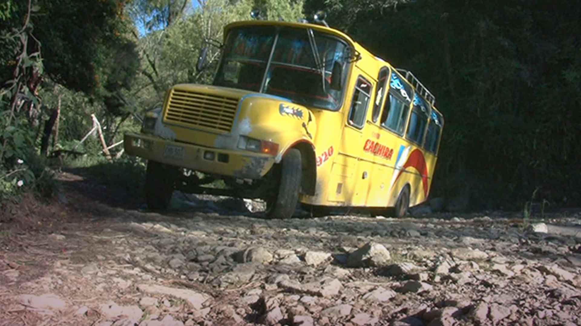 bus amarillo estacionado en medio de la carretera