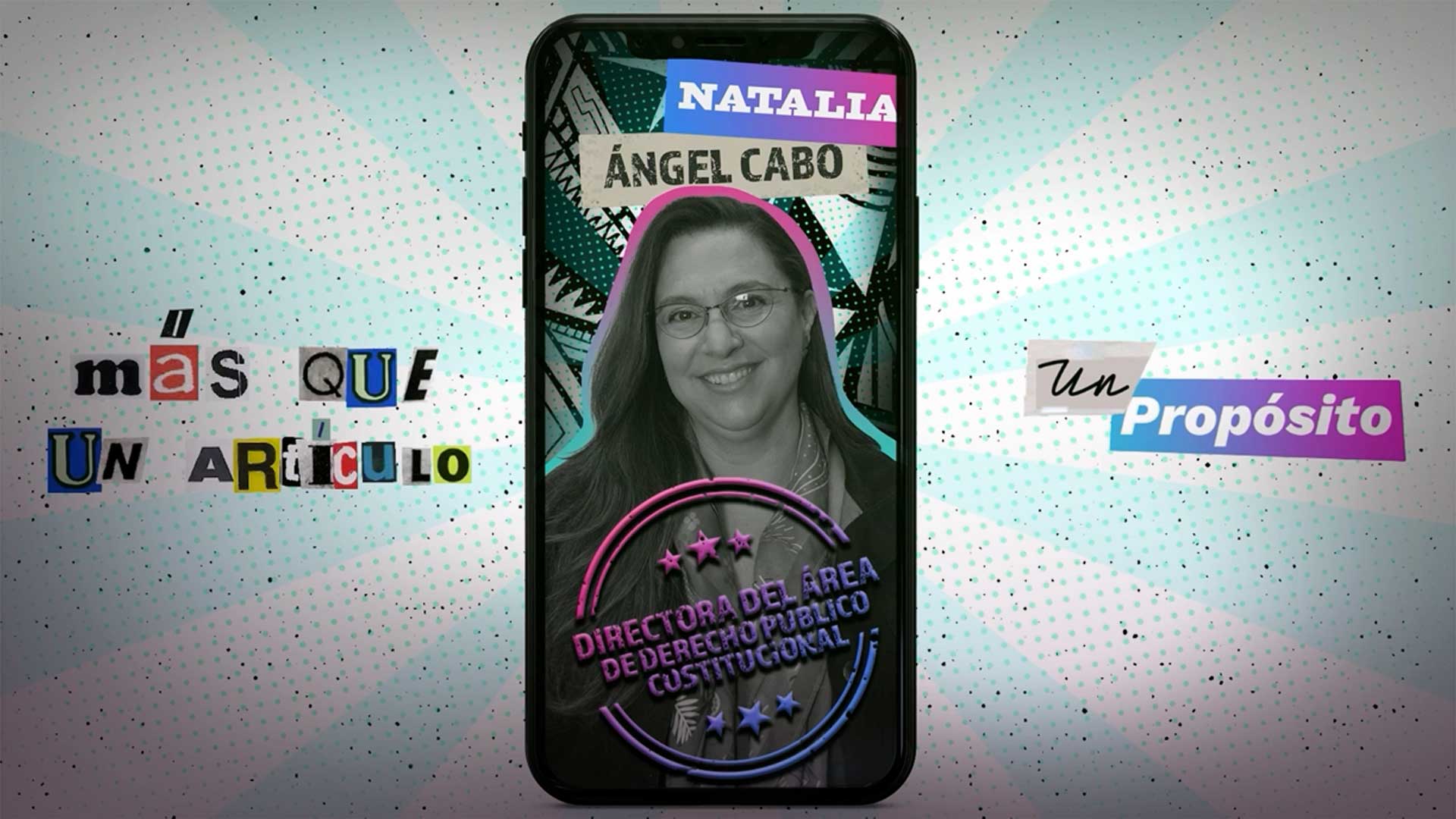 poster constitución