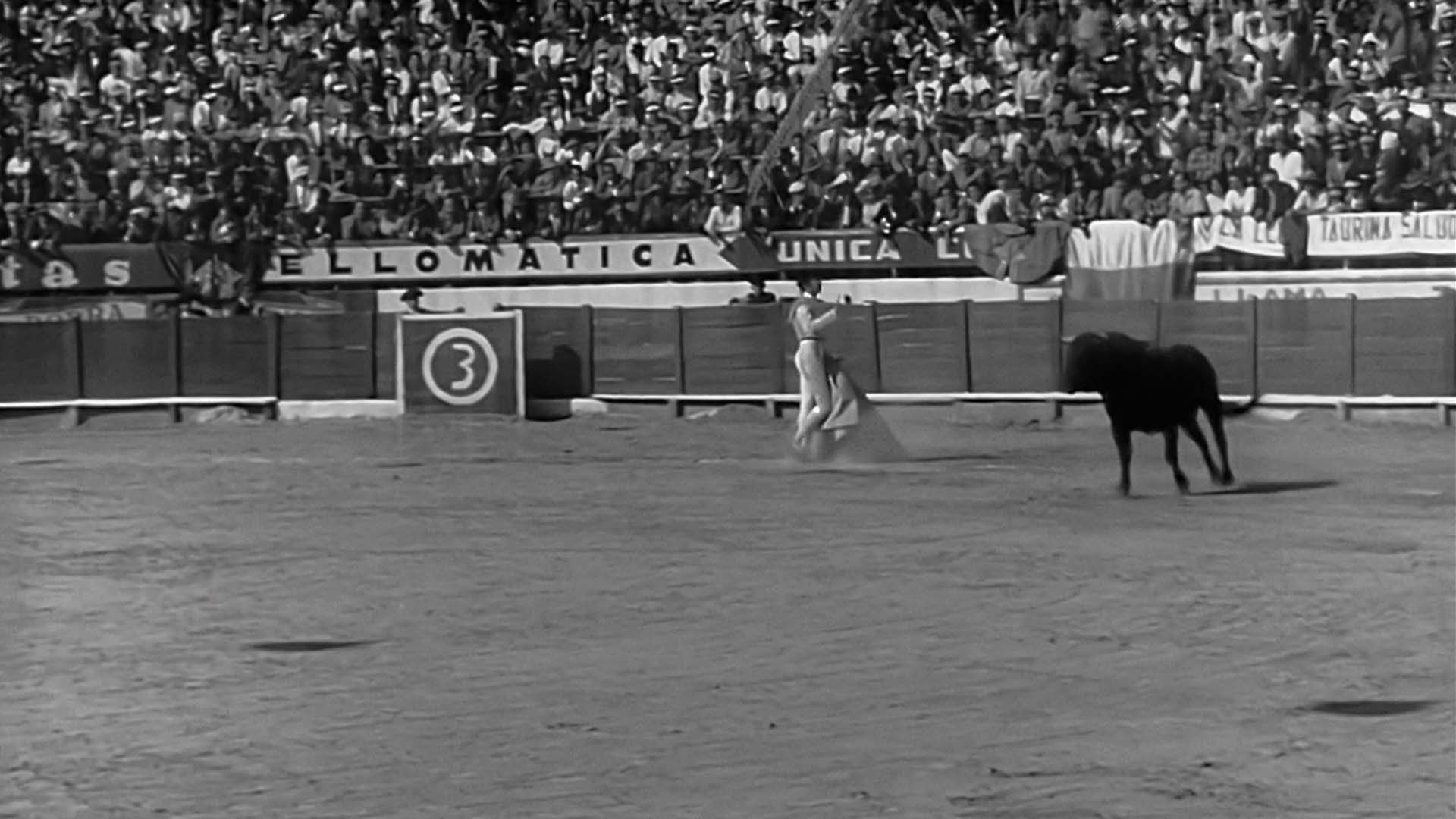 Cinekosas, mision, laguneta, energia electrica, reportaje, series documentales, series gratis, series online, series de señal memoria