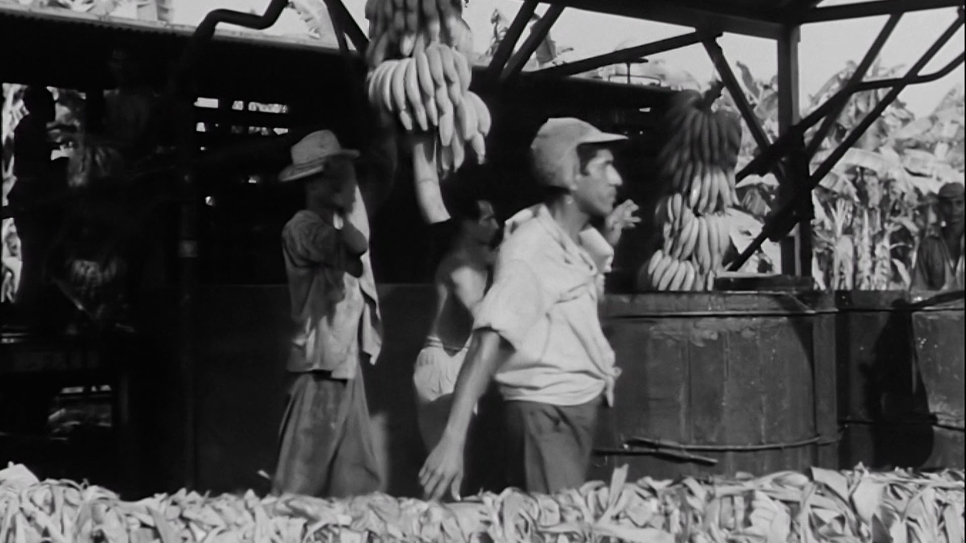 Conoce la historia de Santa Marta, la perla de América. Disponible por la plataforma de streaming RTVCPlay