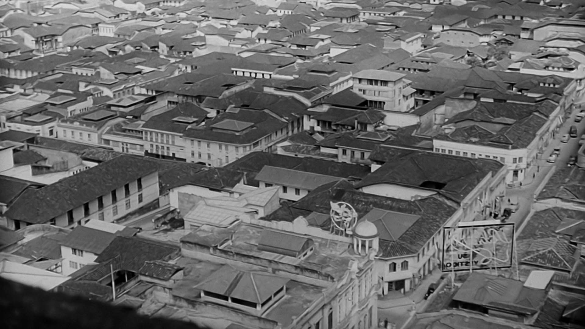 Viaja al corazón de la región cafetera de Colombia a través de la plataforma de streaming RTVCPlay