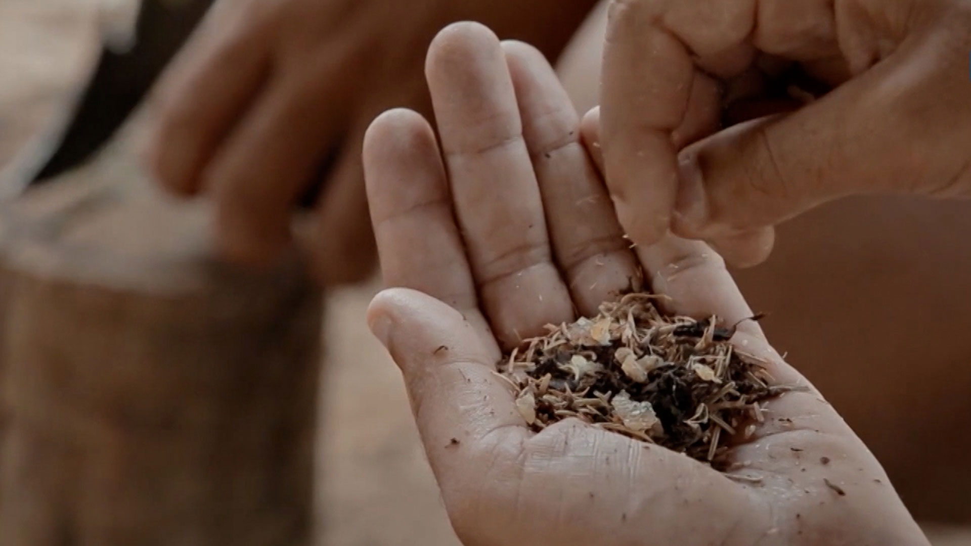 Descubre más del Tata Erick González en Diálogos Cine Azul, disponible ahora en la plataforma de streaming de los colombianos: RTVCPlay