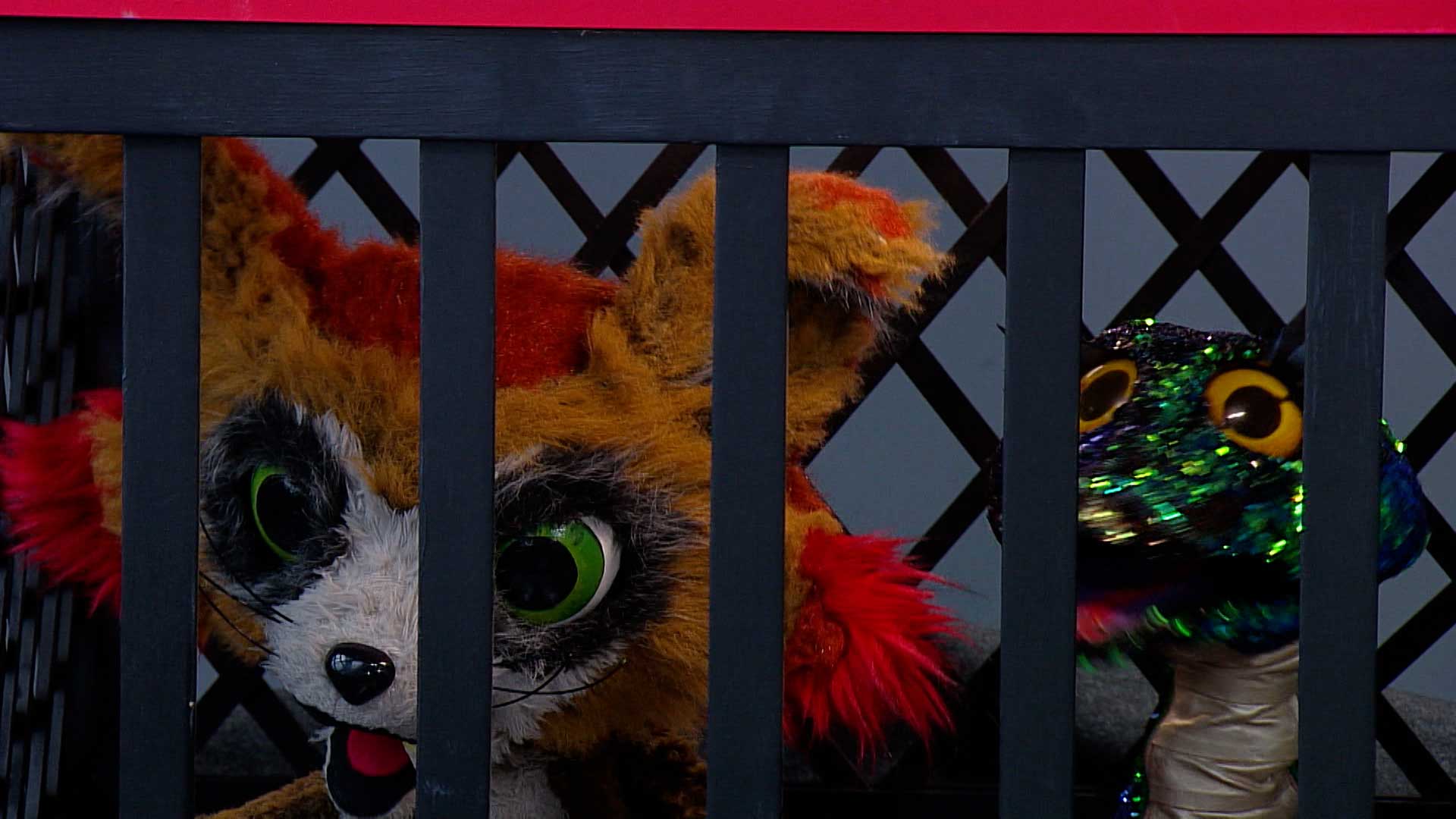 zorro y serpiente de peluche tras las rejas