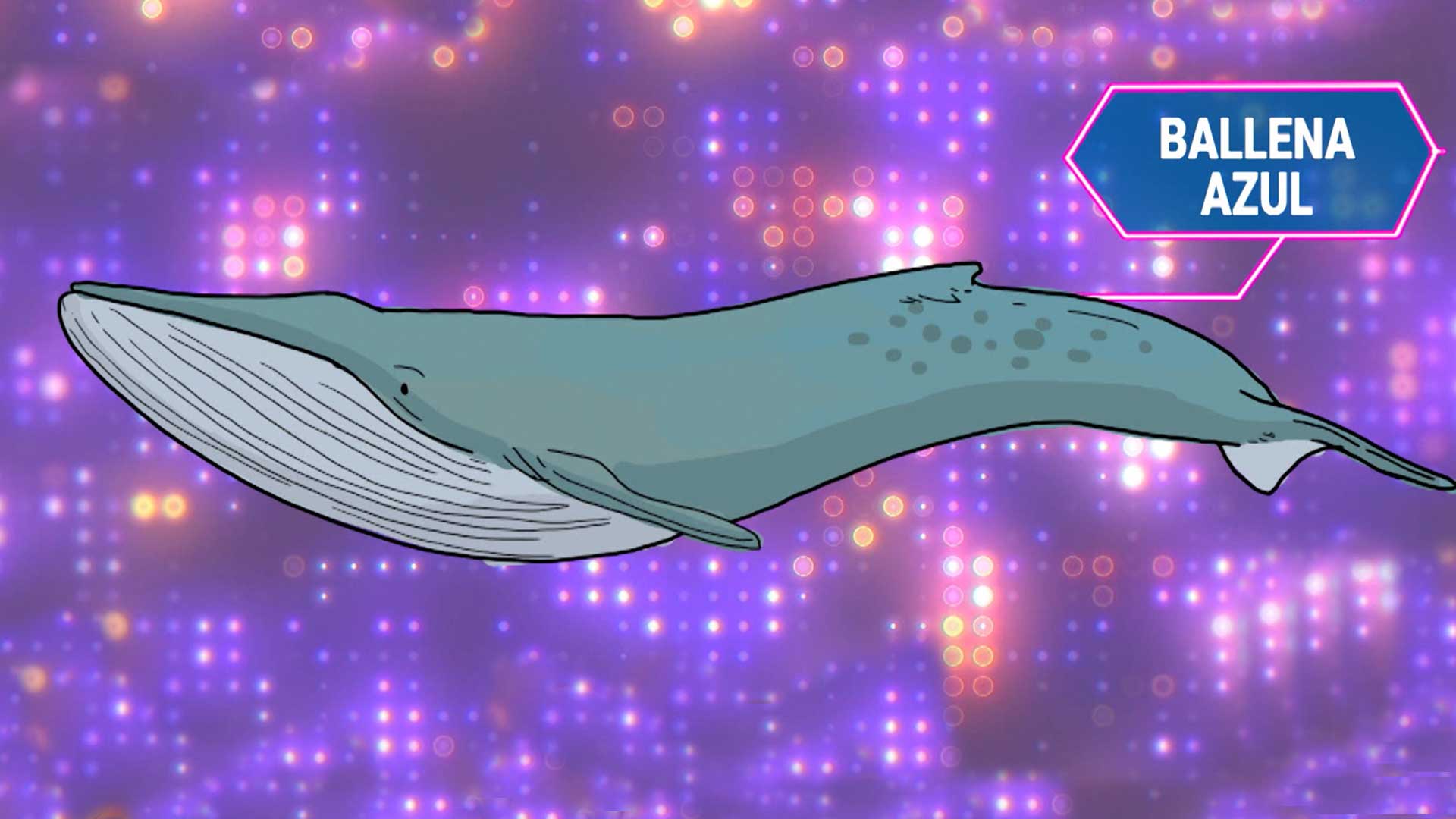 Ballena azul animada, animales marinos, profe en tu casa, series educativas, series colombianas, series para niños online, cuidado del planeta tierra, cuidar los mares y las especies