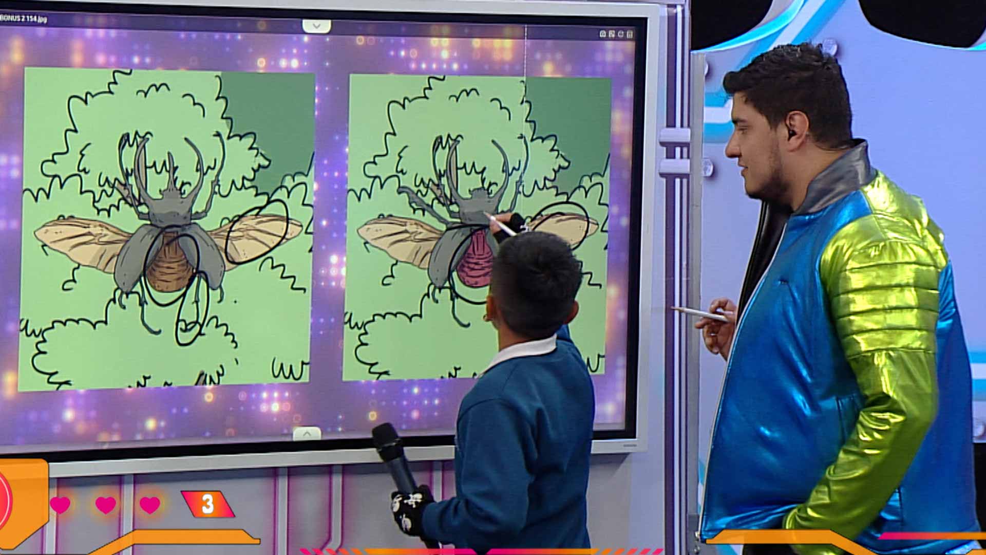 aprende sobre los insectos, escarabajos, tipos de escarabajos en colombia, profe en tu casa, series educativas, señal colombia