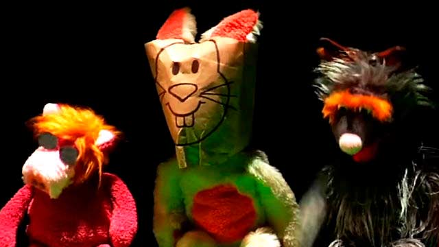 peluches de animalitos en el set