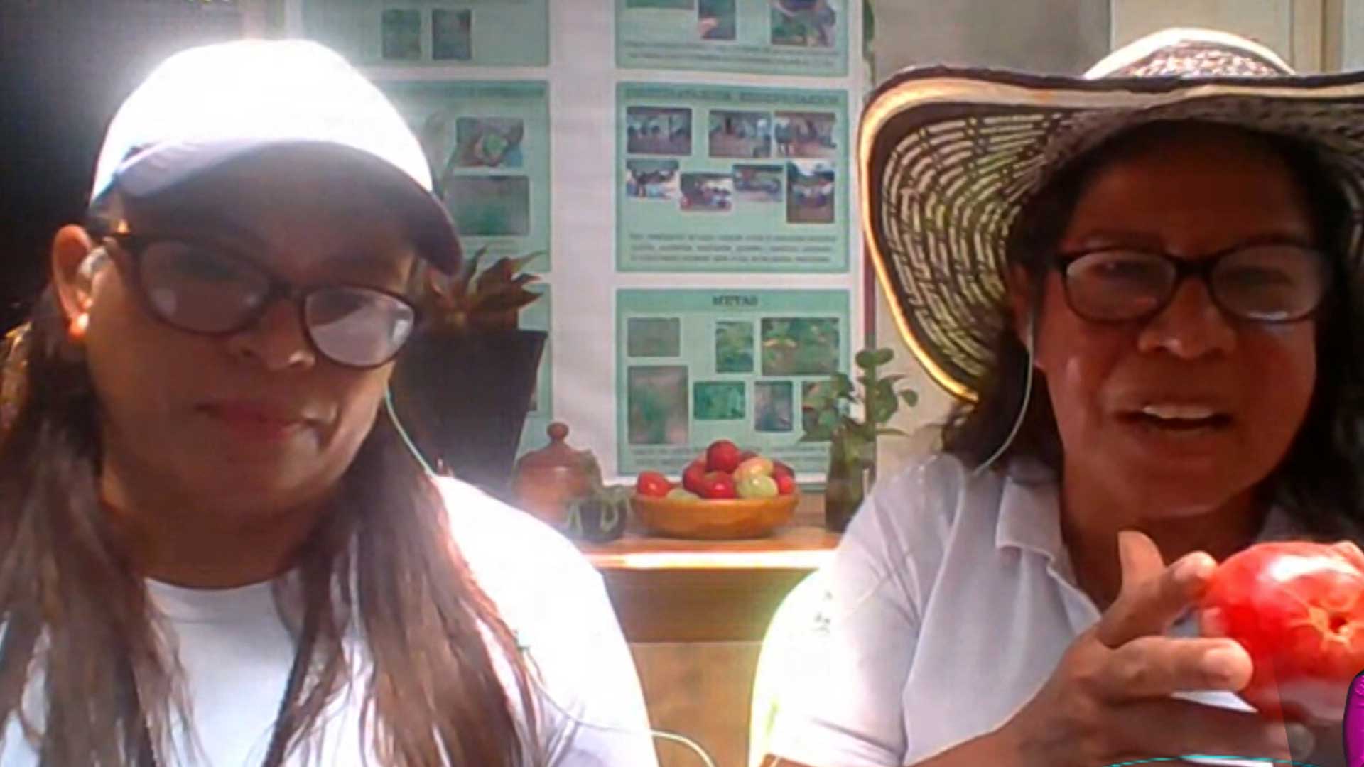 Mujeres hablando sobre la siembra, Cultivemos sosteniblemente, sembrar y cosechar, campo colombiano, siembra un arbol, profe en tu casa, series educativas, señal colombia, series divertidas