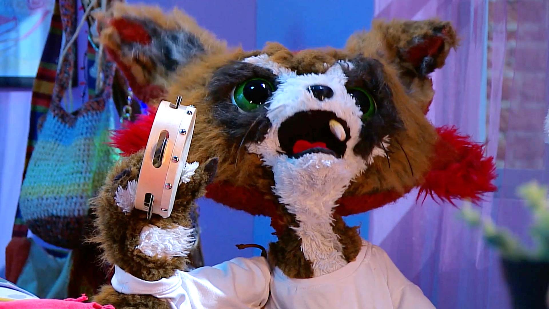 Conoce a Milton, el zorrito de Territorio Mágico por RTVCPlay. 