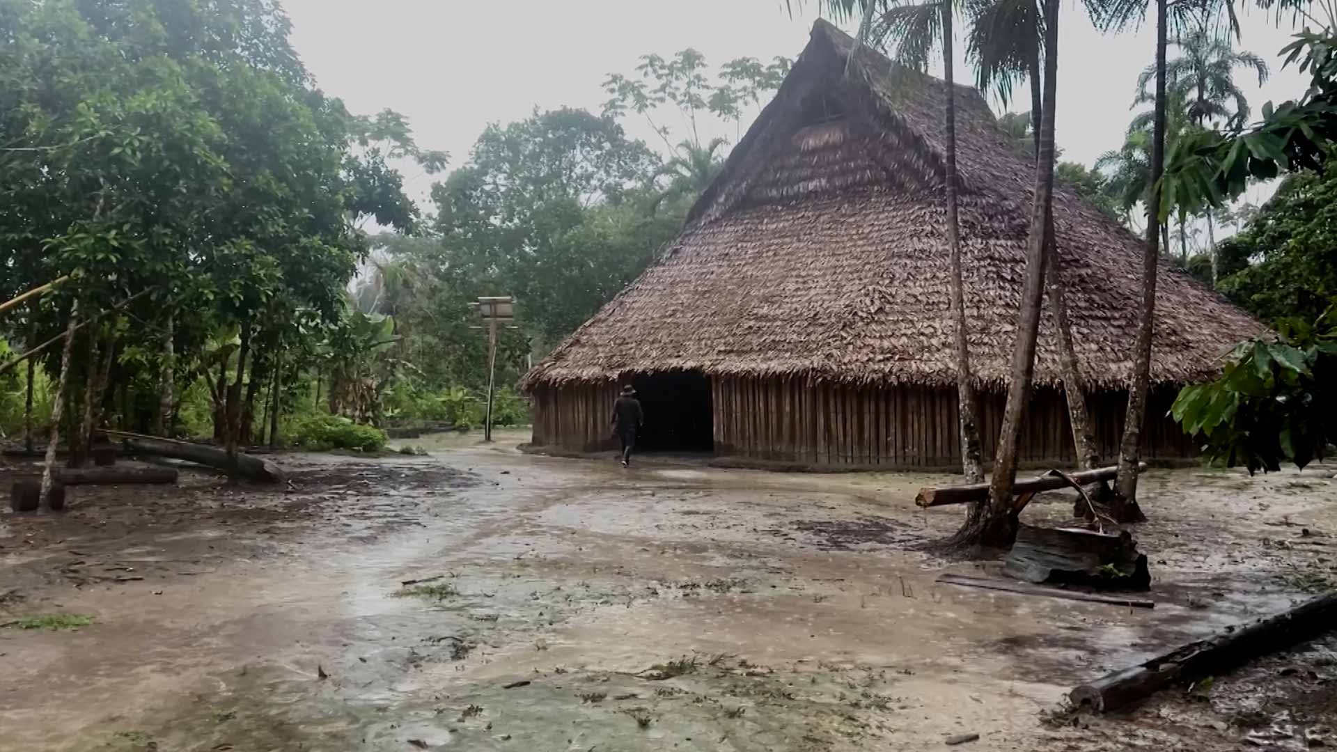 Mira ahora el diecinueve capítulo de Héroes en pandemia en la plataforma de streaming de los colombianos: RTVCPlay