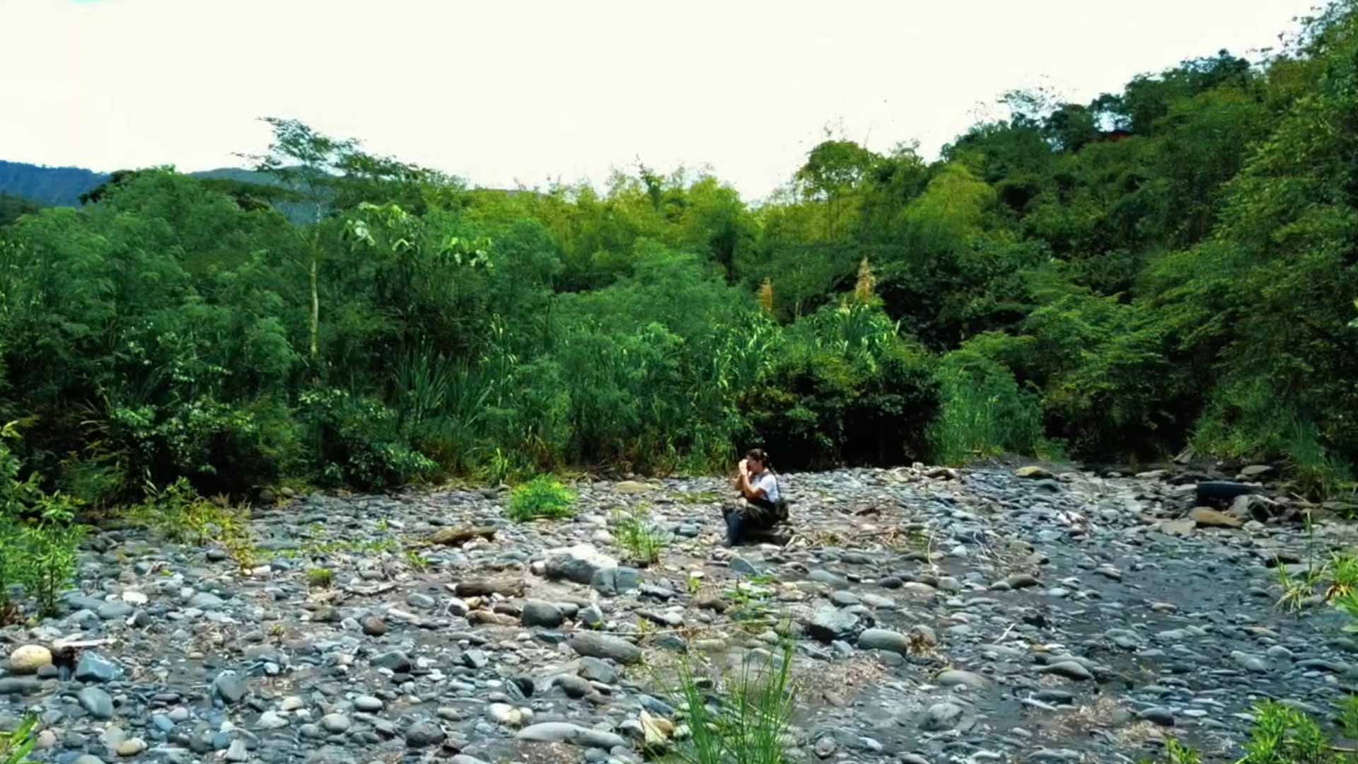 Mujer, guerra, cámara, ver, gratis, completo, episodio, serie, RTVCPlay, Señal Colombia, historia, conflicto