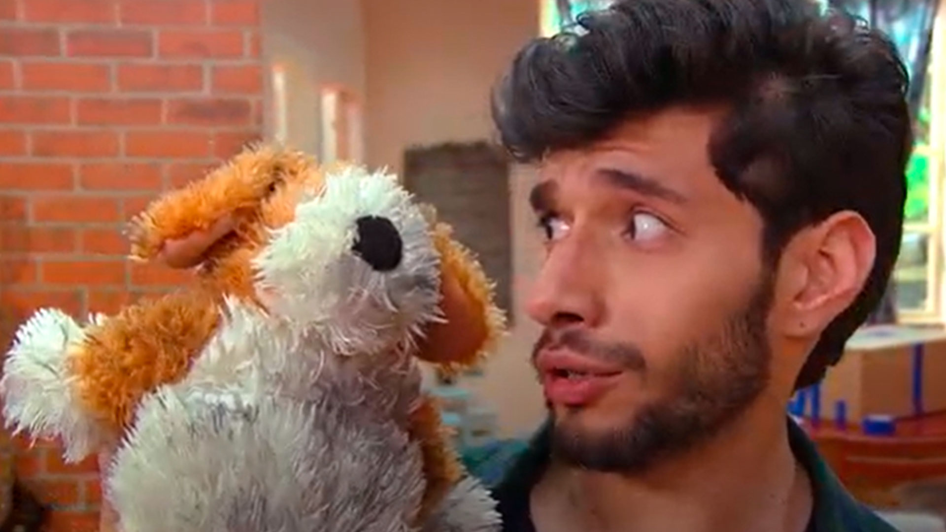 Hombre teniendo una conversación con un peluche