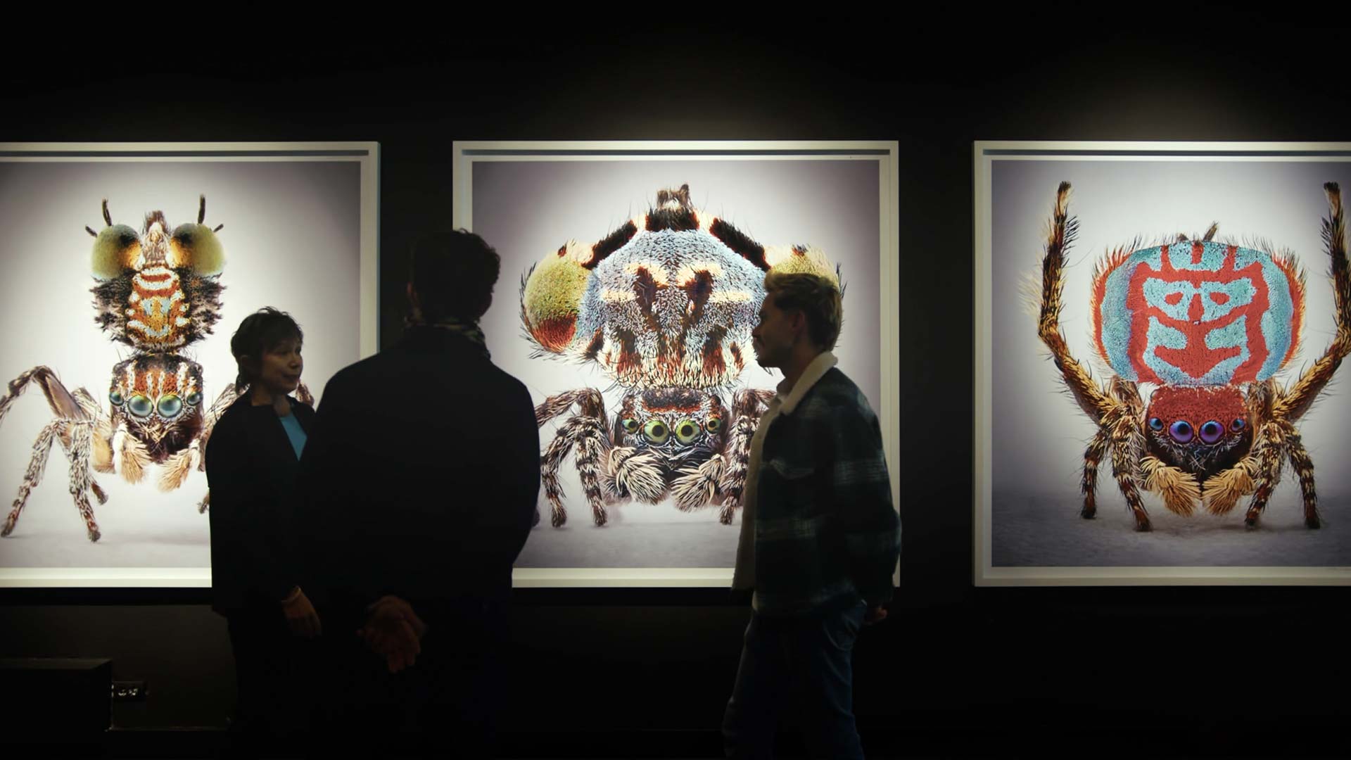 Conoce la obra de María Fernanda Cardoso en Extramuros, disponible ahora en RTVCPlay