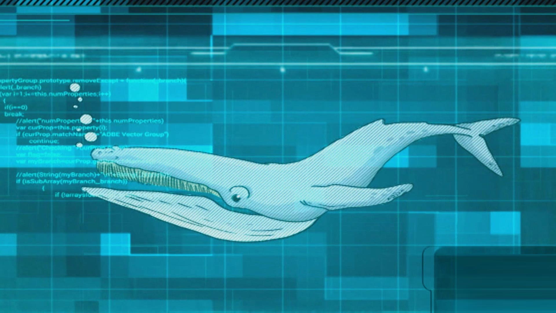 ballenas, delfines, caza furtiva, caza de animales, caza de ballenas y delfines, programas educativos, series infantiles, señal colombia, series gratis, series