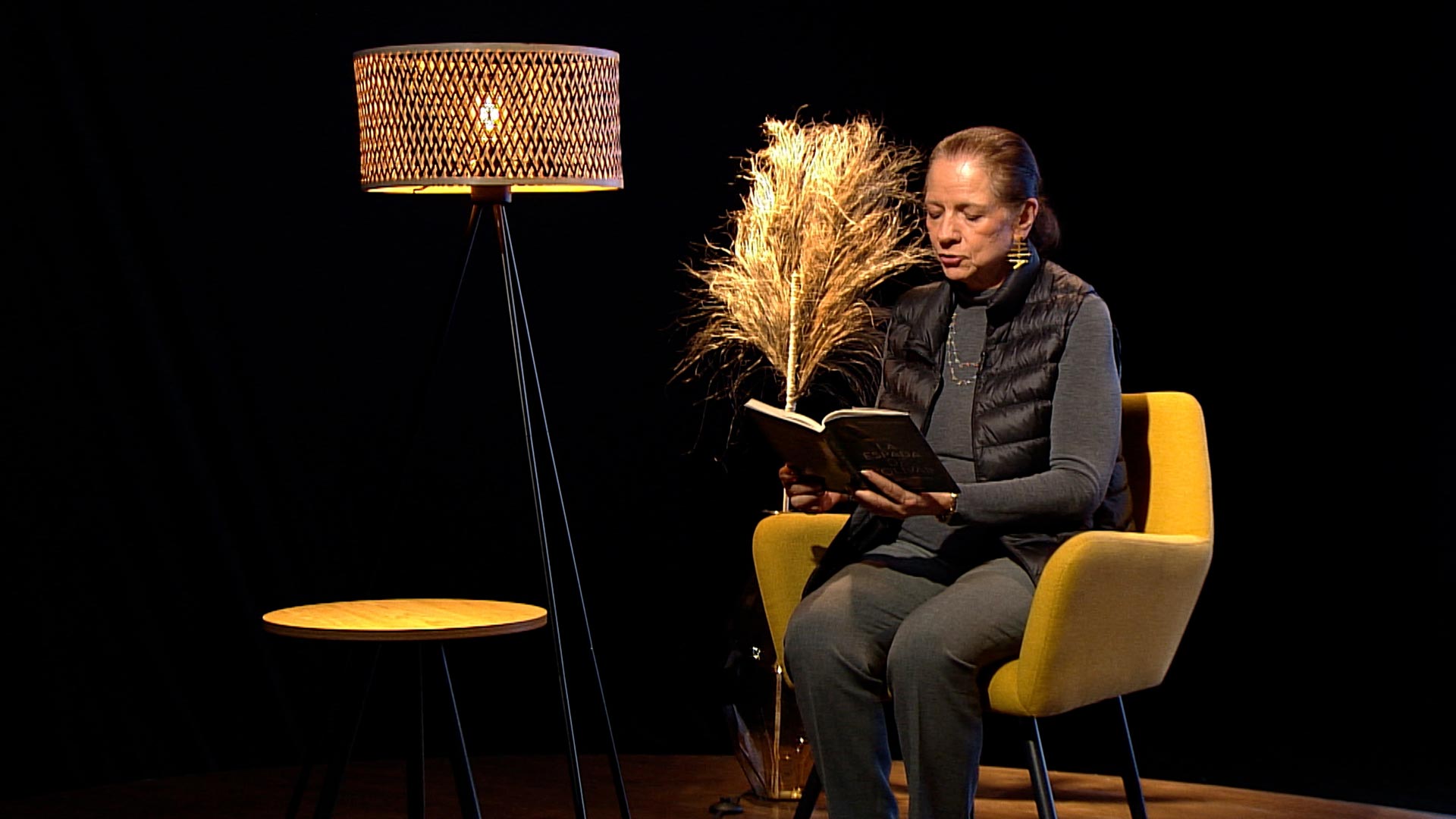 Escucha la conversación entre la escritora y periodista Patricia Lara y Erick Duncan en Señal literaria, disponible en la plataforma de streaming RTVCPlay